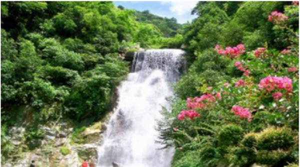 王仙嶺旅游風(fēng)景區成人票