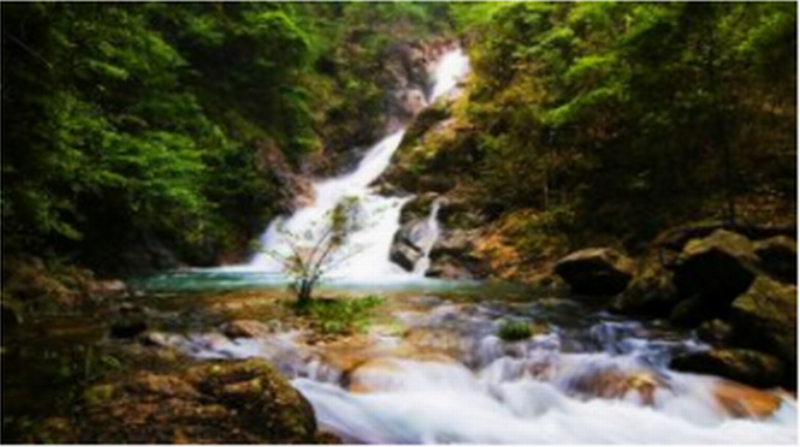 九龍江國家森林公園門(mén)票+瑤畬民俗風(fēng)景館門(mén)票